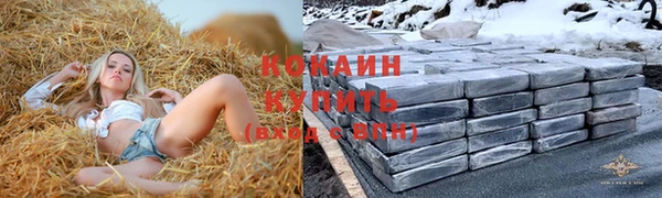 стаф Абаза