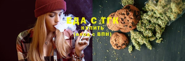 индика Гусев