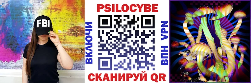 что такое   Стерлитамак  Псилоцибиновые грибы GOLDEN TEACHER 